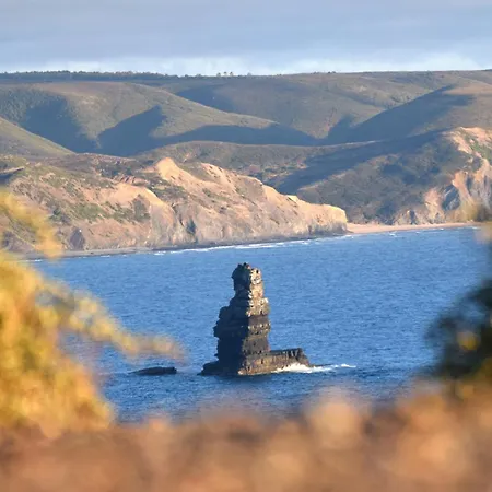 Onda Vicentina * Aljezur